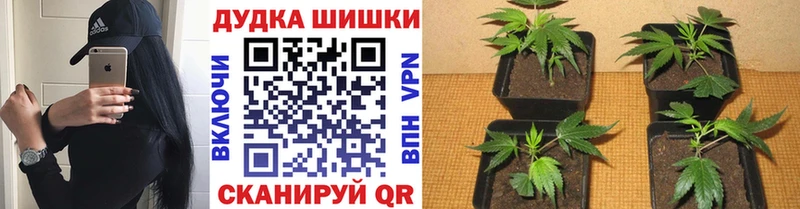 Купить наркотик Рузаевка Alpha-PVP  МЕФ  ГЕРОИН  КЕТАМИН  ГАШ 
