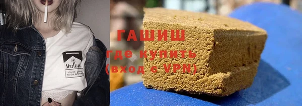 индика Пестово