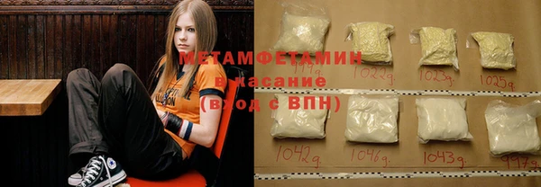 индика Пестово