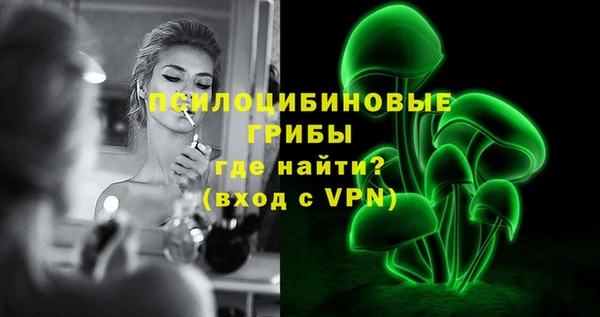 прущие грибы Пересвет