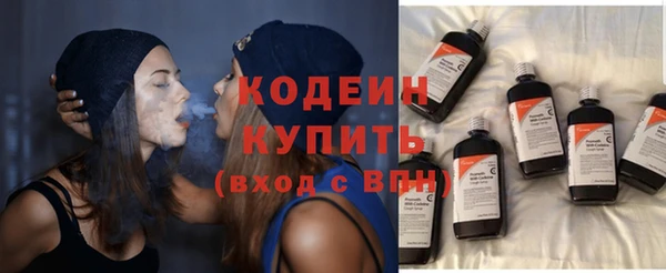 прущие грибы Пересвет