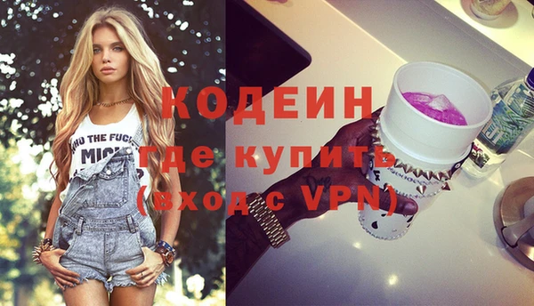индика Пестово