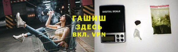 индика Пестово
