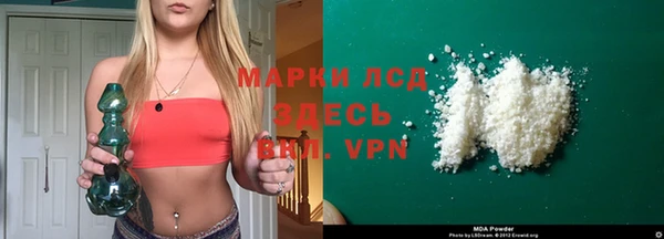 индика Пестово