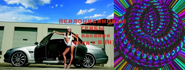 трава Осинники