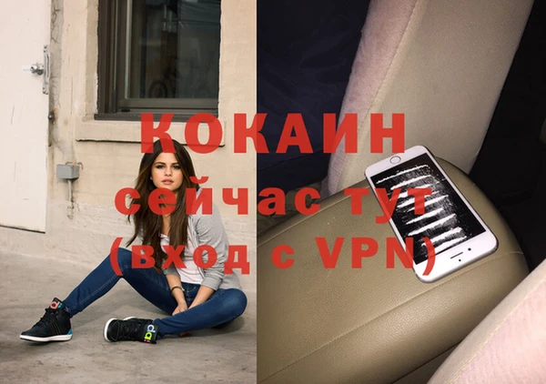 прущие грибы Пересвет