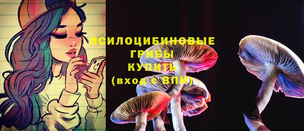 прущие грибы Пересвет