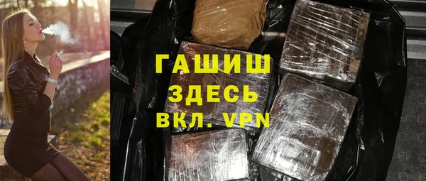 индика Пестово