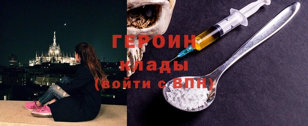 сатива Ельня
