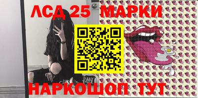 индика Аргун