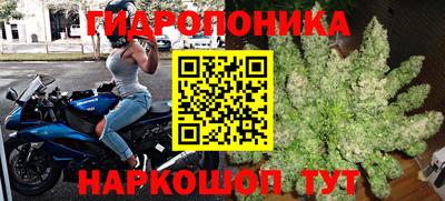 гидра Апрелевка