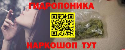 индика Аргун