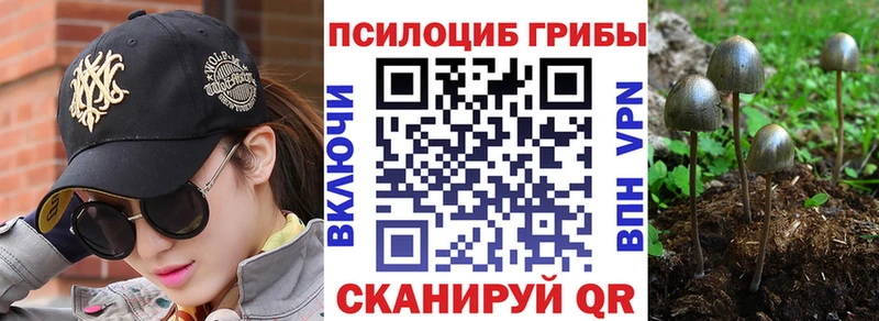 ОМГ ОМГ сайт  Рузаевка  Псилоцибиновые грибы Magic Shrooms  магазин продажи  